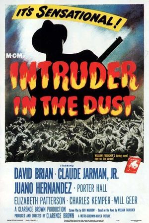 Intruder in the Dust's poster