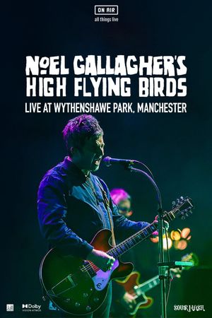 Noel Gallagher's High Flying Birds - Live at Wythenshawe Park, Manchester's poster