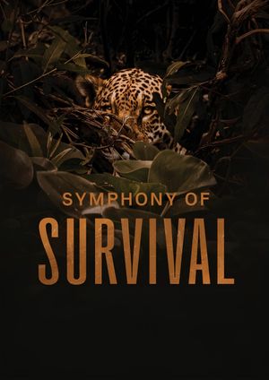 Symphony of Survival's poster