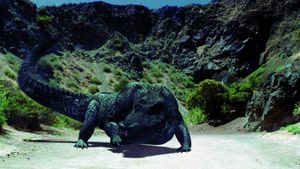 Mega Python vs. Gatoroid's poster