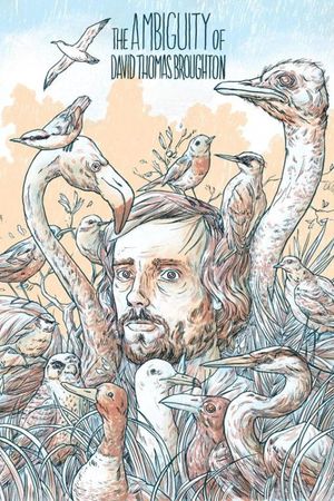 The Ambiguity of David Thomas Broughton's poster