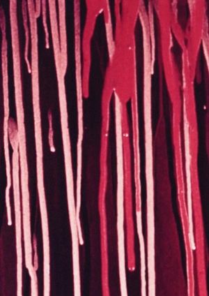 Drips in Strips's poster