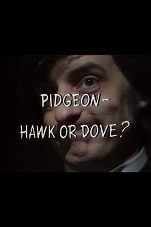 Pidgeon – Hawk or Dove?'s poster