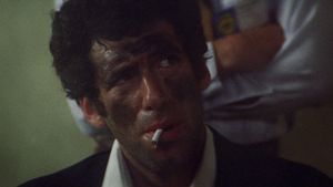The Long Goodbye's poster