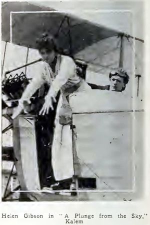 A Plunge from the Sky's poster