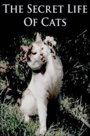 The Secret Life of Cats's poster