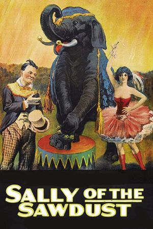 Sally of the Sawdust's poster