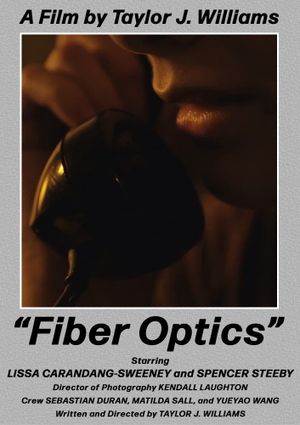 Fiber Optics's poster