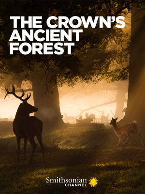 The Crown's Ancient Forest's poster