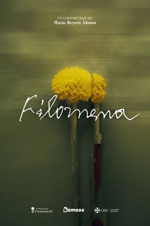 Filomena's poster