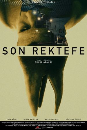 Final Repair's poster