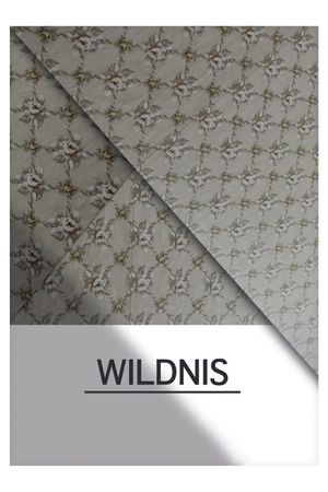 The Wild's poster