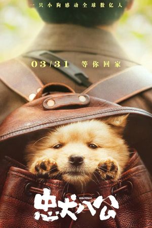 Hachiko's poster