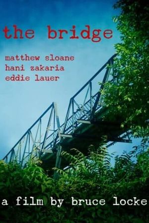 The Bridge's poster image