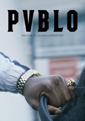 Pvblo's poster image
