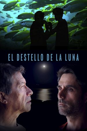 El destello de la luna's poster