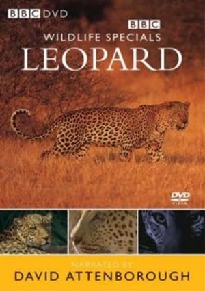 Leopard: The Agent of Darkness's poster