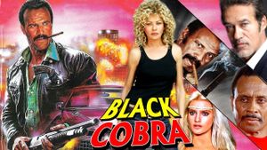 Cobra nero's poster