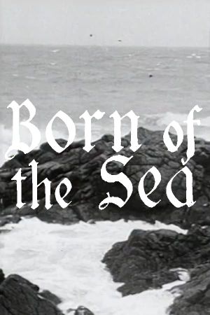 Born of the Sea's poster