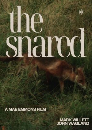 The Snared's poster