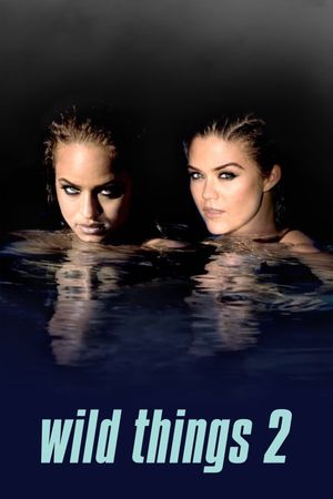 Wild Things 2's poster