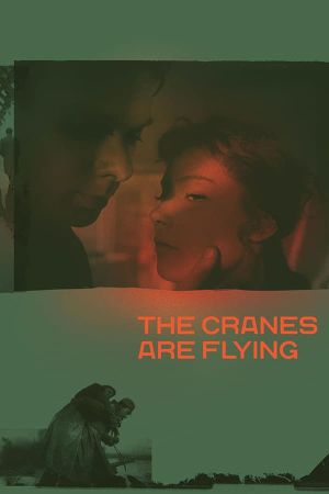 The Cranes Are Flying's poster