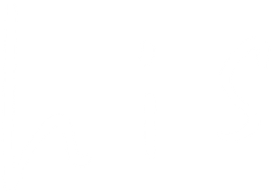 His's poster