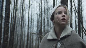 The Witch's poster
