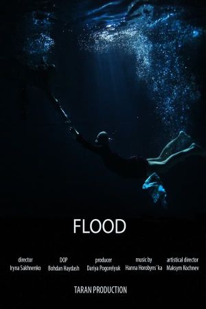 Flood's poster image