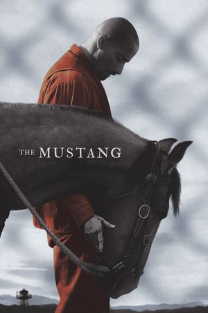 The Mustang's poster