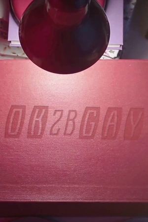 OK2BGAY's poster