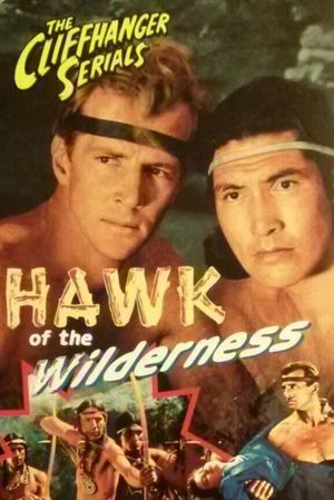 Hawk of the Wilderness's poster