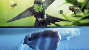 Earth: One Amazing Day's poster