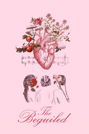 The Beguiled's poster