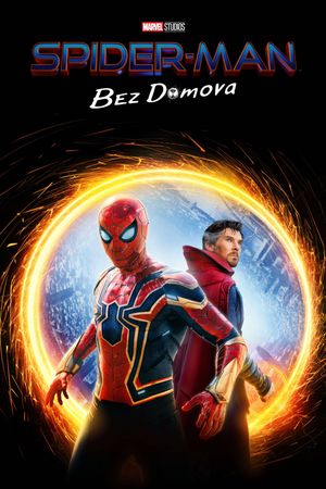 Spider-Man: No Way Home's poster