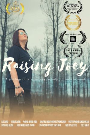 Raising Joey's poster