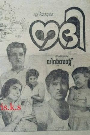 Nadhi's poster