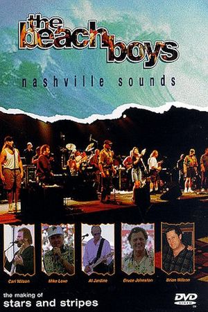 The Beach Boys: Nashville Sounds's poster