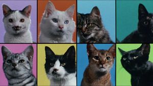 Cats on Park Avenue's poster