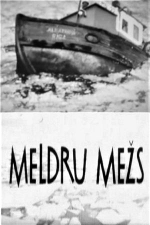 Meldru mezs's poster