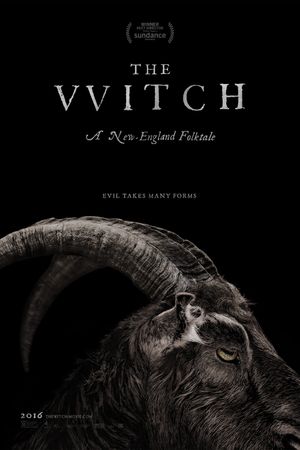 The Witch's poster