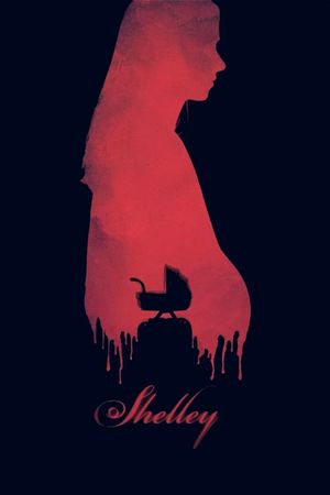 Shelley's poster