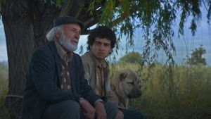 Island Ararat's poster