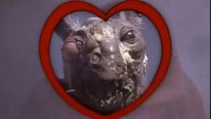 Class of Nuke 'Em High Part II: Subhumanoid Meltdown's poster