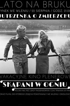 Skapani w ogniu's poster