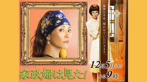 The Housekeeper Saw!'s poster