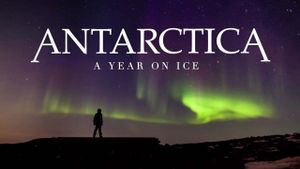 Antarctica: A Year on Ice's poster