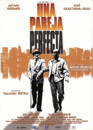 A Perfect Couple's poster