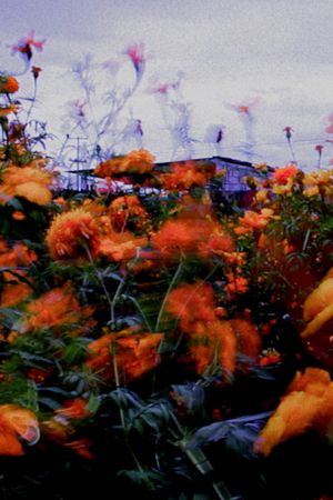 Monet's poster