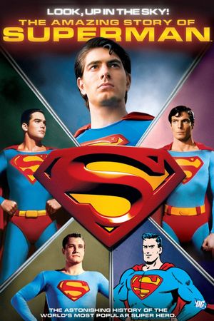 Look, Up in the Sky! The Amazing Story of Superman's poster